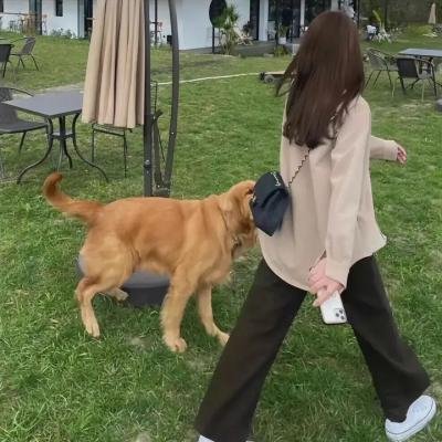 哥哥与姐姐